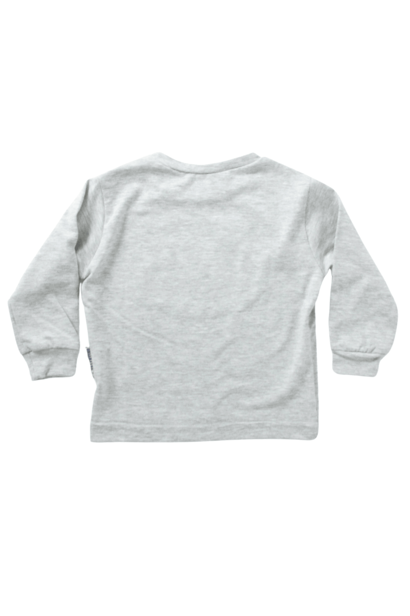 Varsity League Vln 1895 duks